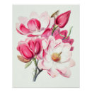 Suche nach magnolienblüte poster Botanisch