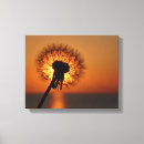 Suche nach pusteblume geschenke Dandelion