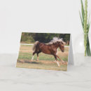 Suche nach morgan karten Tier