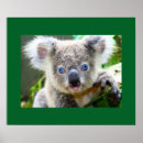 Suche nach die blues poster Natur