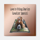 Suche nach spaniels magnete Reiter