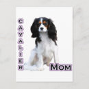 Suche nach kuckuck postkarten Cavalier king charles spaniel