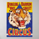 Suche nach ringling bros poster Tiger