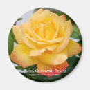 Suche nach peace runde magnete Blume