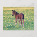 Suche nach dandelions postkarten Kronleuchter