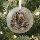 Suche nach deutsch drahthaar ornamente Jagdhund