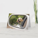 Suche nach mirror karten Tier