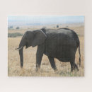 Suche nach afrikanischer elefant puzzle Stoßzähne