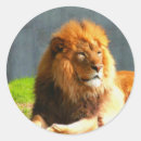 Suche nach afrikanischer löwe aufkleber Für kinder