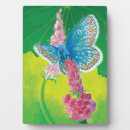 Suche nach insekten fotoplatten Käfer