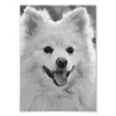 Suche nach spitzname poster Haustier