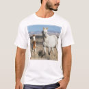 Suche nach pferde tshirts Wildpferd
