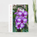 Suche nach lila orchidee karten Orchideen