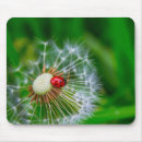 Suche nach marienkäfer mousepads Nahaufnahme