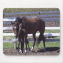 Suche nach stuten mousepads Thoroughbred