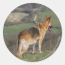 Suche nach aufpassen aufkleber Stehend