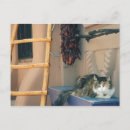 Suche nach adobe poster Neu