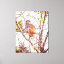 Suche nach make up leinwandbilder Fotografie