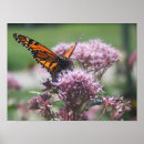 Suche nach monarch poster Lila