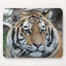 Suche nach die wild lebenden tiere elektronik zubehör Zootiere