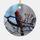 Suche nach männliche ornamente Kardinal