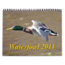 Suche nach wasservögel kalender Natur
