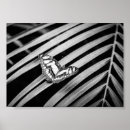 Suche nach exotische schmetterlinge poster Flügel