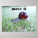 Suche nach lustige schnecke poster Witz