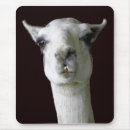 Suche nach alpaka mousepads Fotografie