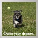 Suche nach verfolger poster Inspirierend