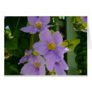 Suche nach lavendelblau karten Foto