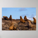 Suche nach tierfreunde poster Niedlich