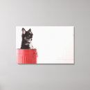 Suche nach chihuahua leinwandbilder Hund