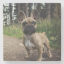 Suche nach bulldoggen untersetzer Liebe