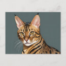 Suche nach bengalische katze postkarten Haustier