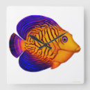 Suche nach triggerfish poster Reef