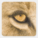 Suche nach krüge aufkleber Natur