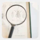 Suche nach lupe Buch