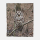 Suche nach eulenbilder Eulenliebhaber