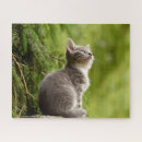 Suche nach coole katzen puzzle Katzenliebhaber