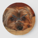 Suche nach yorkshire terrier wanduhren Dog