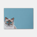 Suche nach mit augen post it Blau