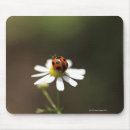Suche nach wild lebende tiere mousepads Grün