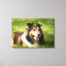 Suche nach schäferhund leinwandbilder Horizontal