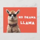 Suche nach alpaca postkarten Niedlich