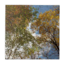 Suche nach herbstlaub fliesen Natur