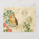 Suche nach schöne eule postkarten Blume