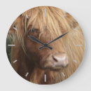 Suche nach scotland wanduhren Bull