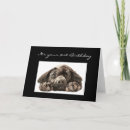 Suche nach lustiger labrador karten Retriever