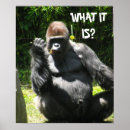 Suche nach gorilla kunst Affe